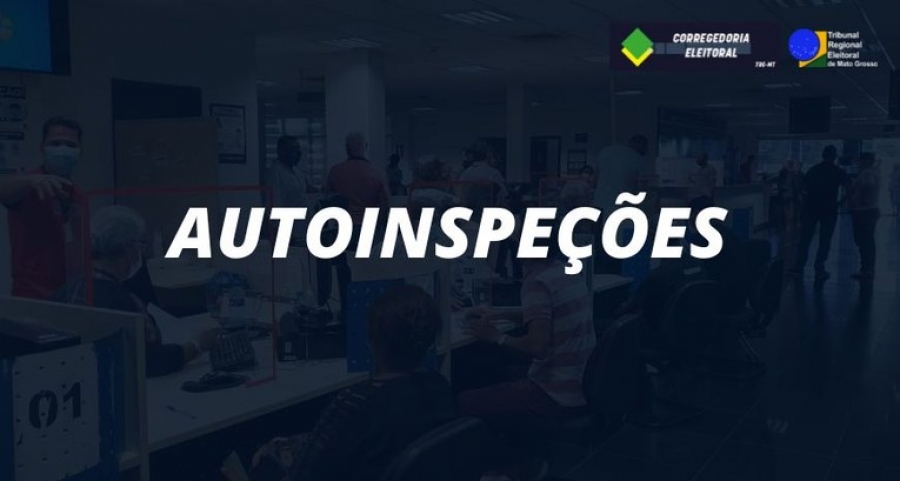  Cartórios Eleitorais apuram regularidade de serviços em autoinspeções 