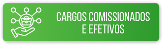 Cargos Comissionados e Efetivos.png